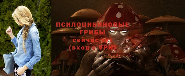МДПВ Иннополис